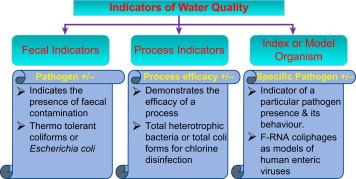 Indicators of water quality
