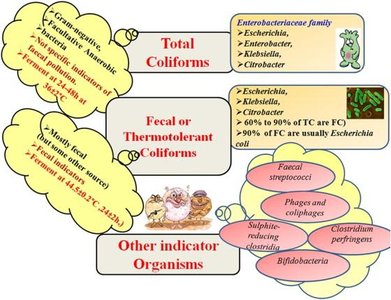 Coliforms and indicator organisms