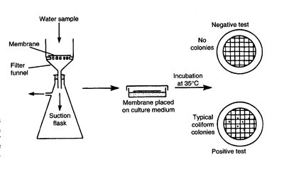 Membrane filtration test