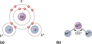 Electronegativity and polar covalent bonds