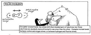 Polar covalent bond example