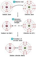 Ionic bond formation