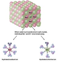 Dissociation of ionic bonds in water
