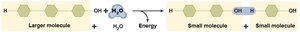 Hydrolysis reaction
