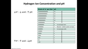 pH scale with common substances