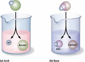 Hydrogen ion concentration and pH