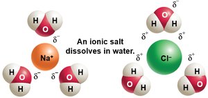 Dissociation of ionic salt in water
