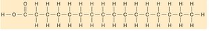 Saturated fatty acid structure