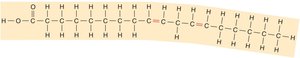 Unsaturated fatty acid structure