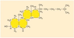 Steroid structure (cholesterol)
