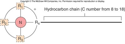 Structure of a quaternary ammonium compound