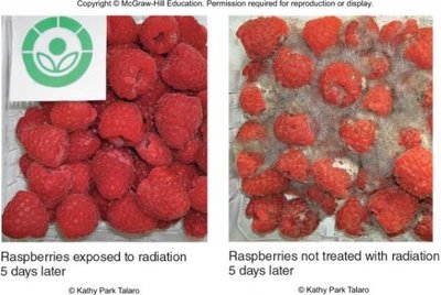 Comparison of raspberries exposed to radiation vs. not exposed
