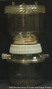 Membrane filtration apparatus