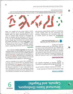 Illustrations of flagella arrangements