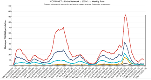 COVID-19 hospitalization rates