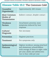 Common cold disease table: causative agents, transmission, treatment