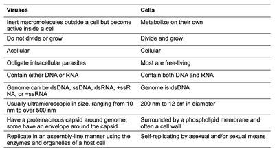 Comparison of viruses and cells