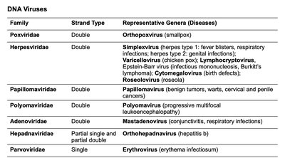 Families of human viruses