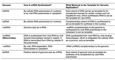 Process of budding in enveloped viruses