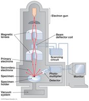 Scanning electron microscope diagram