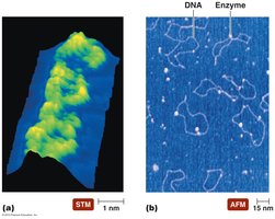 Probe microscopy images