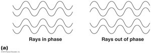 Rays in phase and out of phase