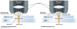 Effect of immersion oil on resolution