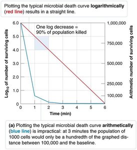 Microbial death curve plotted logarithmically and arithmetically