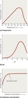 Graphs of enzyme activity vs temperature, pH, and substrate concentration