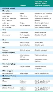 Table of biological and mechanical vectors