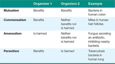 Table of symbiotic relationships