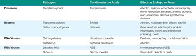 Table of pathogens and fetal effects