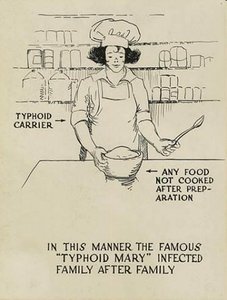 Typhoid Mary illustration