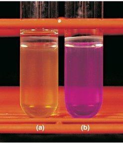 Biochemical test tubes