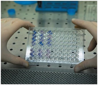 ELISA plate for serological testing