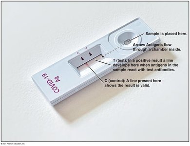 COVID-19 rapid antigen test