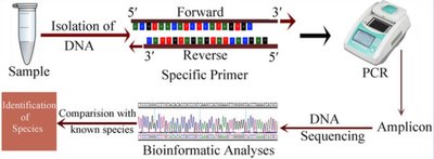 DNA sequencing workflow