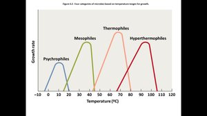 Temperature effects on microbial growth