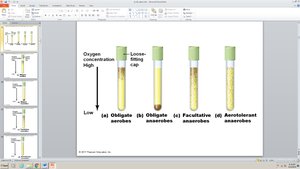 Oxygen requirements in test tubes