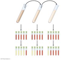 Most probable number method