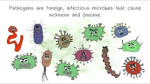 Pathogens cartoon