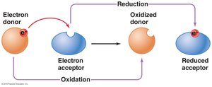 Redox reaction: electron transfer between donor and acceptor
