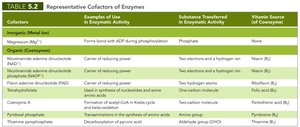 Representative cofactors of enzymes