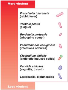 Relative virulence of microbial pathogens