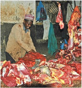 Poorly refrigerated foods as reservoirs for pathogens