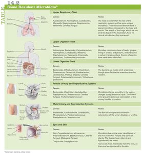 Table of some resident microbiota by body site