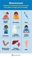 Symptoms of mononucleosis infographic