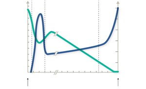 Graph showing T helper cell levels and viral load over time in HIV infection