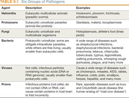 Table of six groups of pathogens with examples