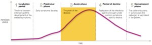 Graph of infectious disease stages